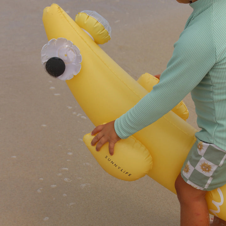 Sunnylife | Kids Inflatable Noodle - Finn the Fish Multi S2 | Shut the Front Door