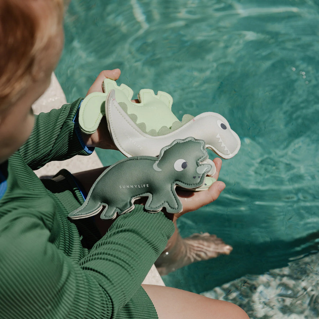 Sunnylife | Dive Buddies Dino Multi Set of 3 | Shut the Front Door