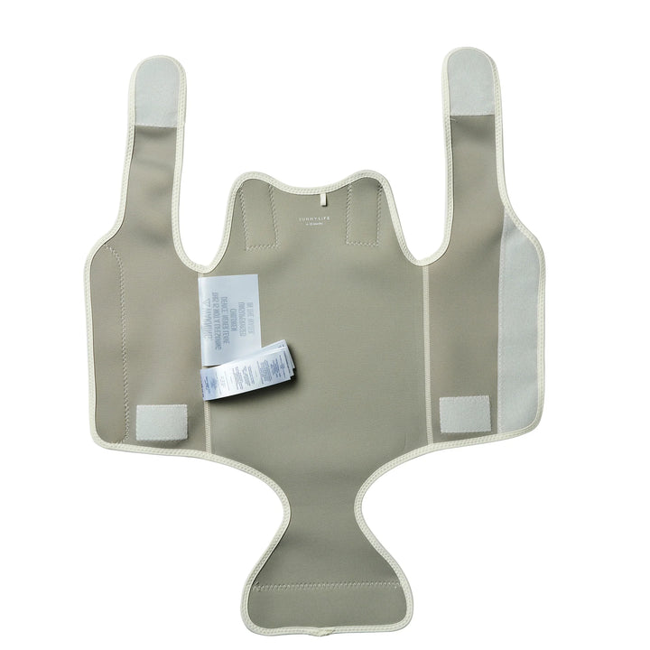 Sunnylife | Natural Rubber Baby Wetsuit Sammy the Seagull Green Stripe | Shut the Front Door