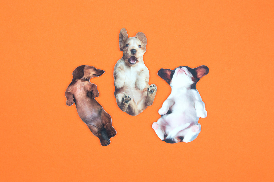 Pawfect Nails - Daschund