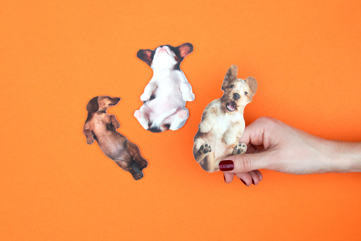 Pawfect Nails - Daschund