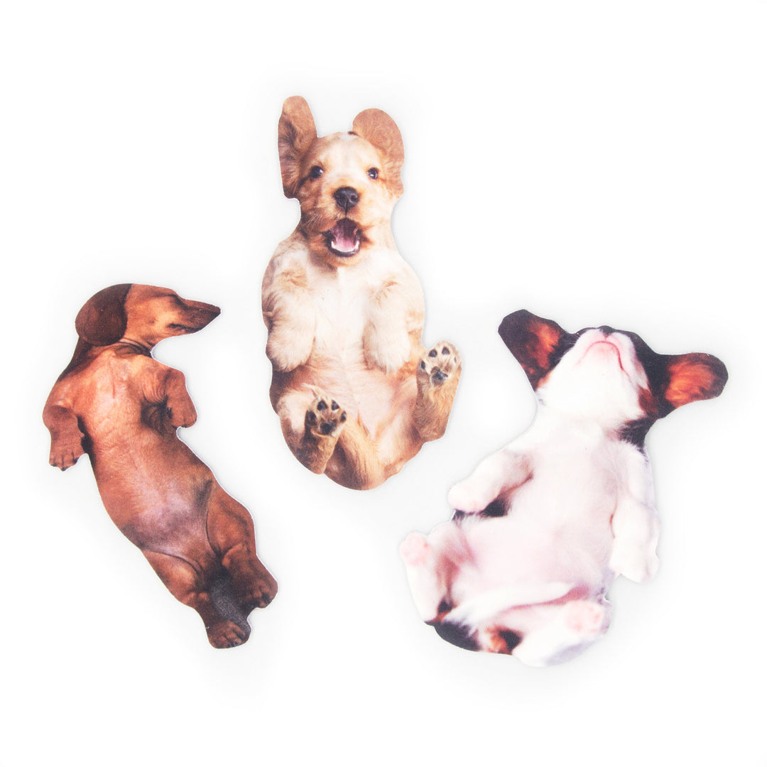 Pawfect Nails - Goldie