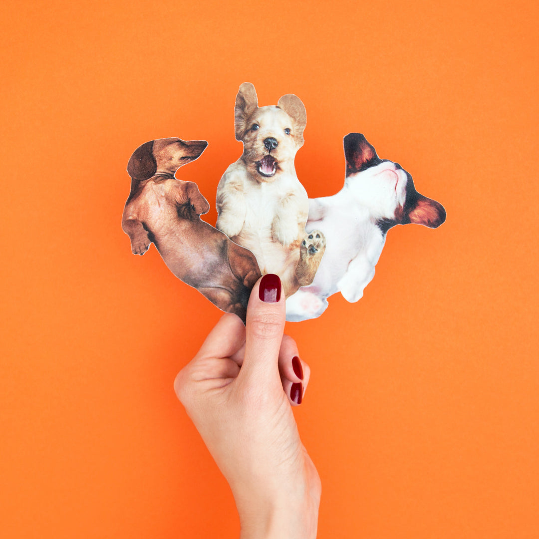 Pawfect Nails - Daschund