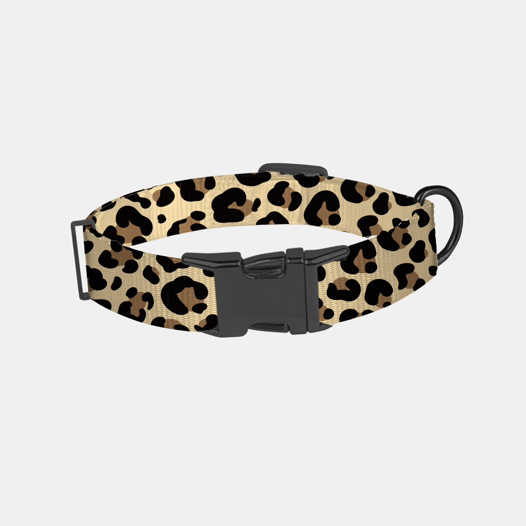 Antigone | Pet Collar Animal Print Brown/Black - Medium | Shut the Front Door