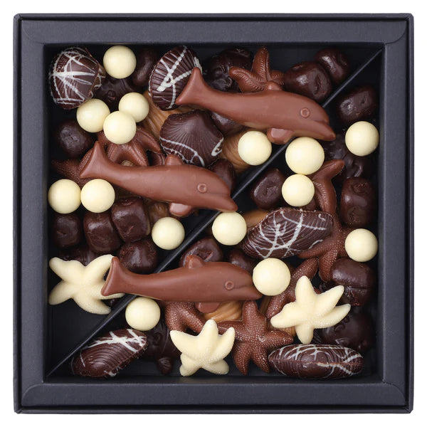 Bennetts Of Mangawhai | Christmas Seashore Chocolate Collection Giftbox | Shut the Front Door