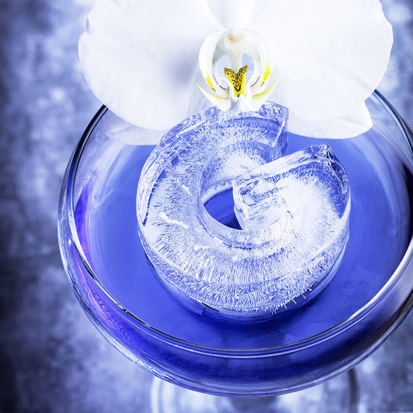 Drinks Plinks | Ice Cube Tray - G for Gin Lovers | Shut the Front Door