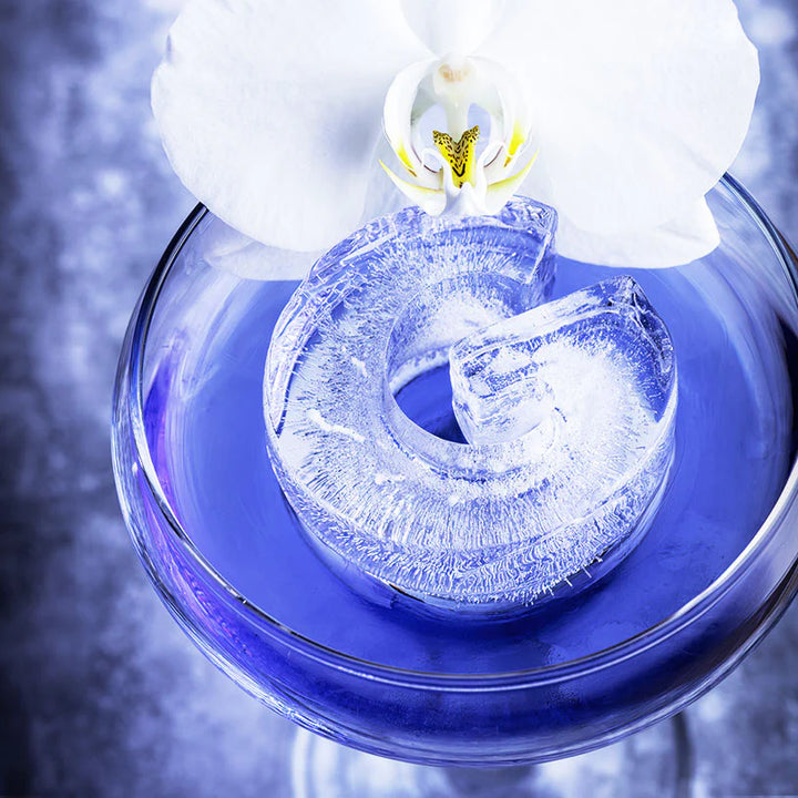 Drinks Plinks | Ice Cube Tray - G for Gin Lovers | Shut the Front Door