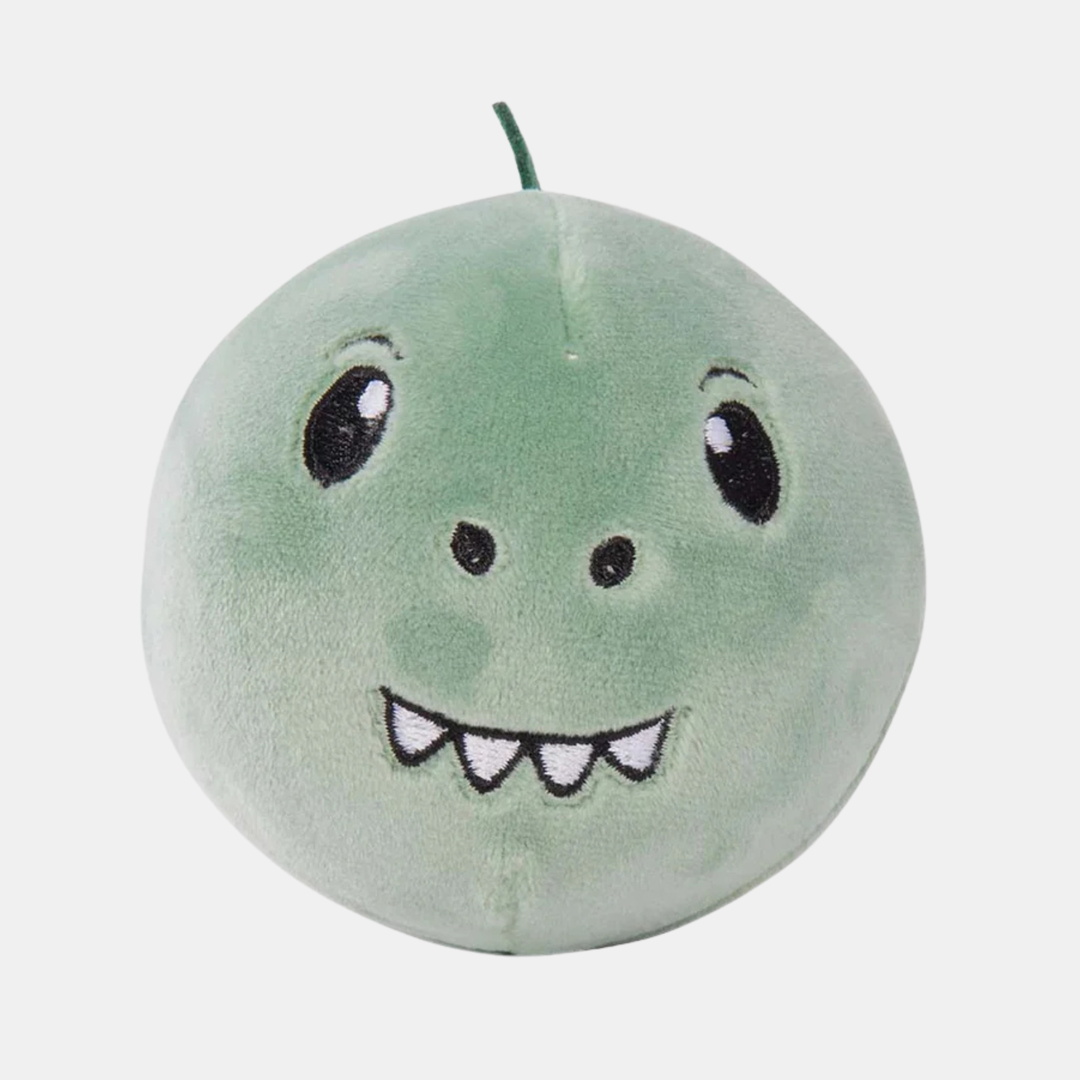 Discovery Zone | Slow Squish Ball - Dino Sage | Shut the Front Door