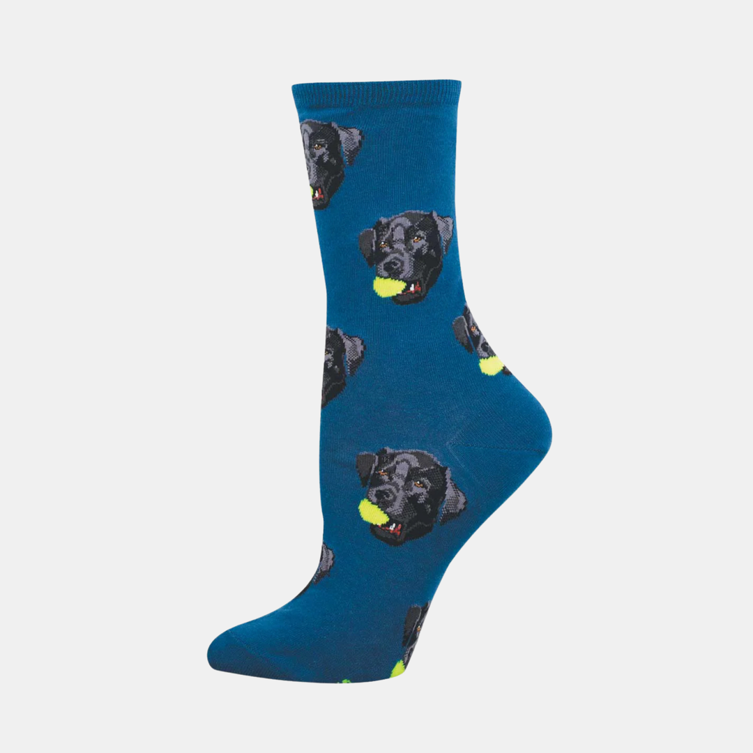 Socksmith | Women's Black Lab Socks - Teal | Shut the Front Door