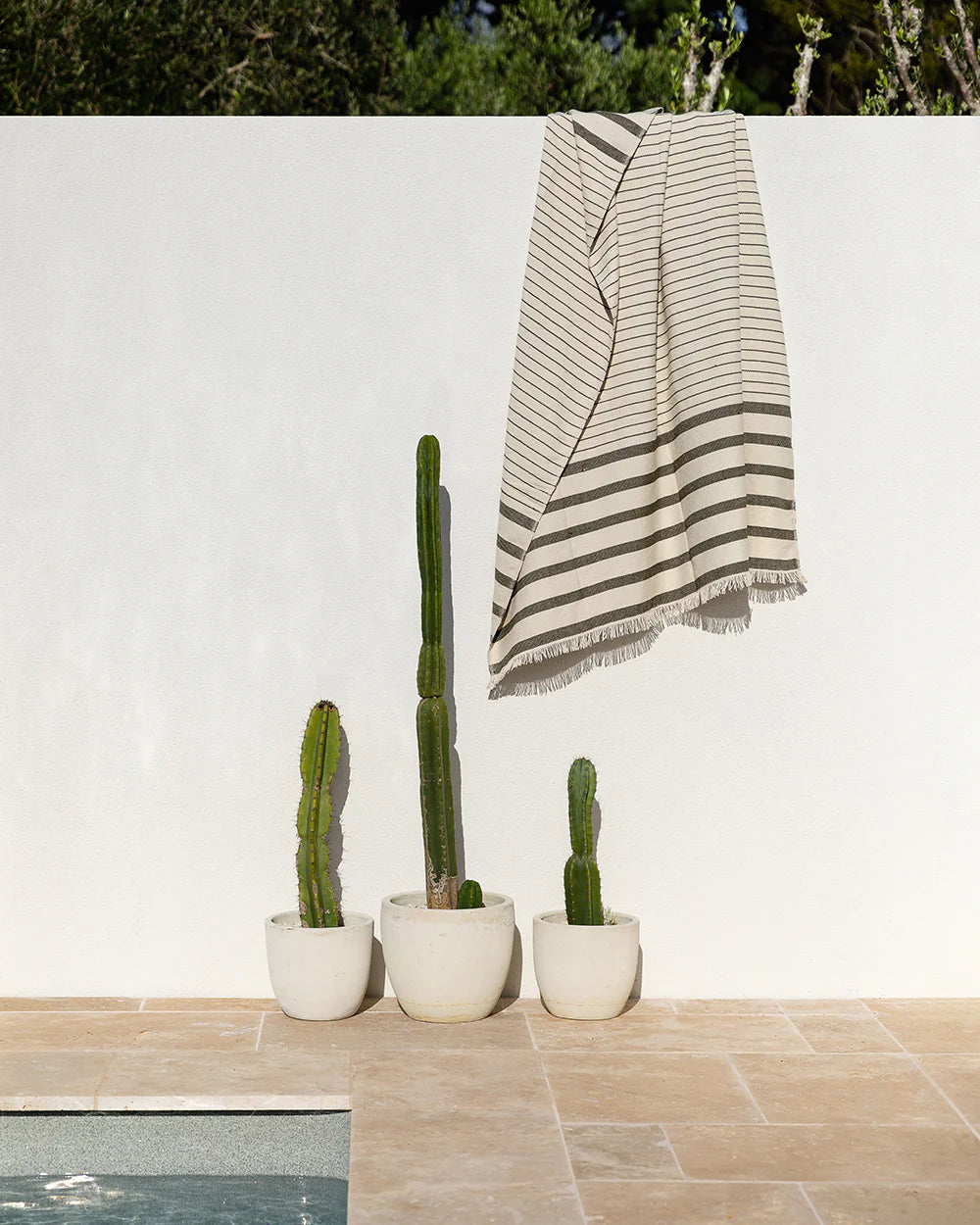 Baya | Banksia Throw - Avocado | Shut the Front Door