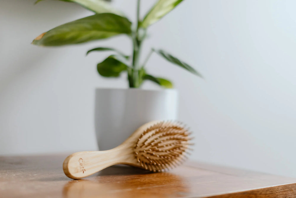 CaliWoods | Bamboo Hairbrush | Shut the Front Door