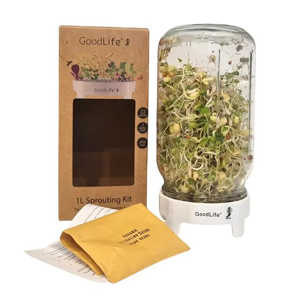 Sprouting Jar - 1ltr Gift Box