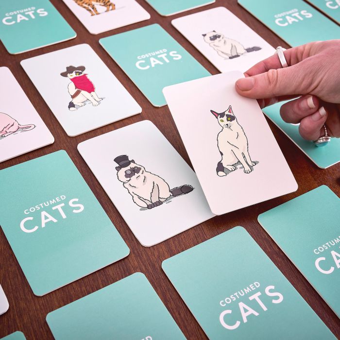 Ridleys | Costumed Cat Memory Game | Shut the Front Door