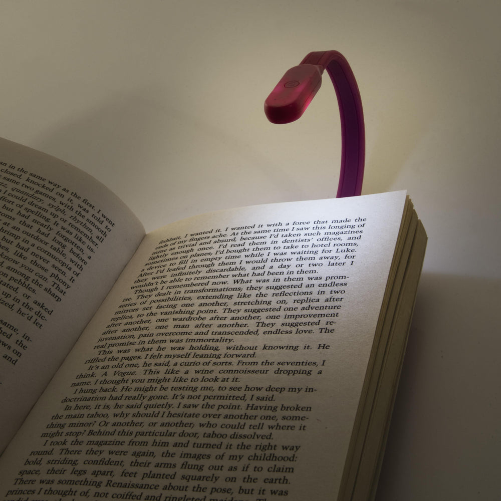 IS Gifts | Flexi Clip-On Rechargeable Book Light - White | Shut the Front Door