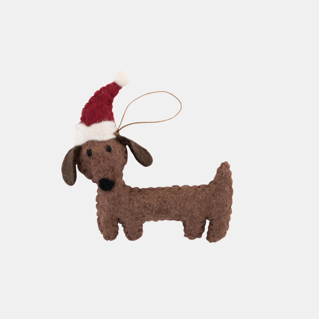 Pashom | Dachshund with Hat Decoration | Shut the Front Door