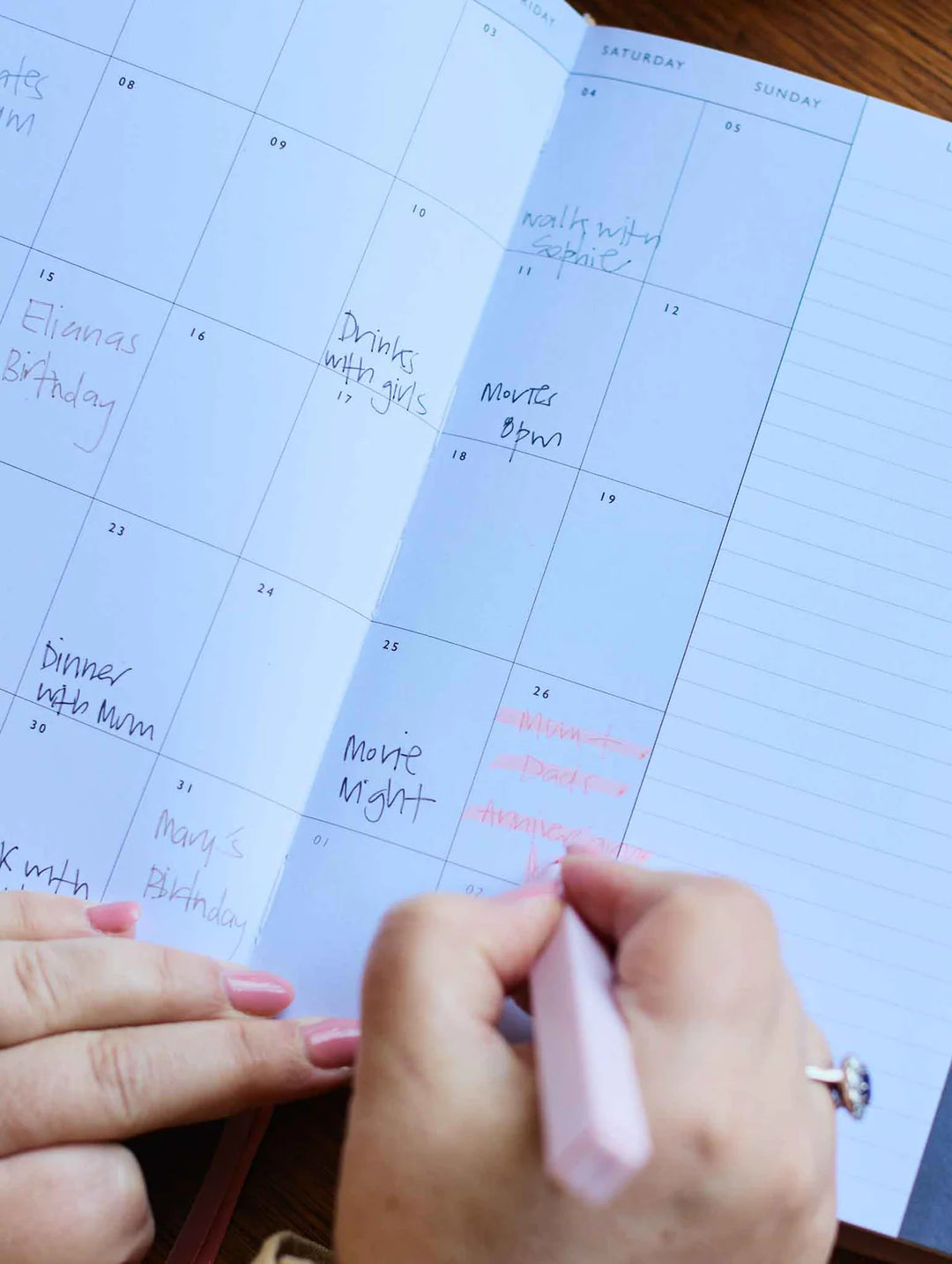 2026 On The Daily Planner - Sorbet