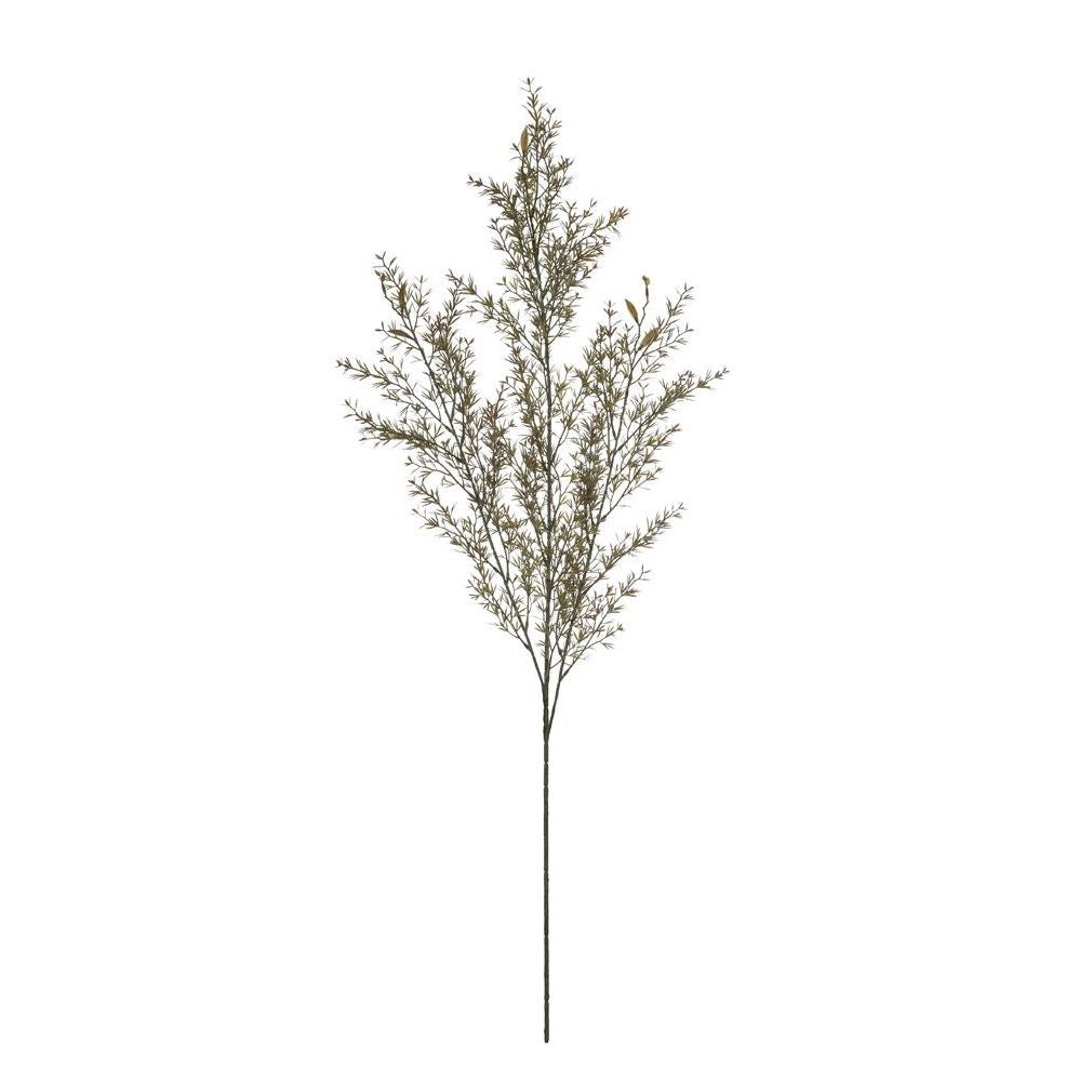 Rogue | Tea Leaf Spray Sage | Shut the Front Door