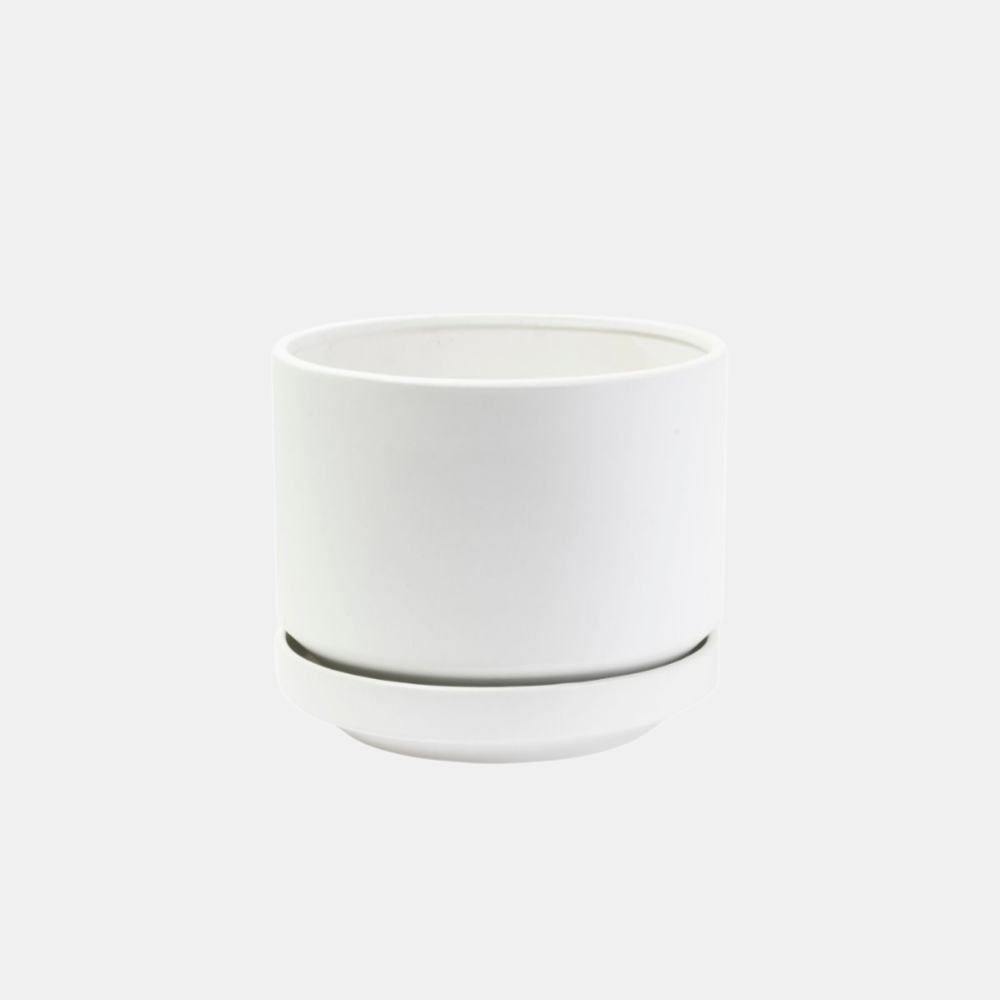 Potted | Zurich Planter - White Large | Shut the Front Door