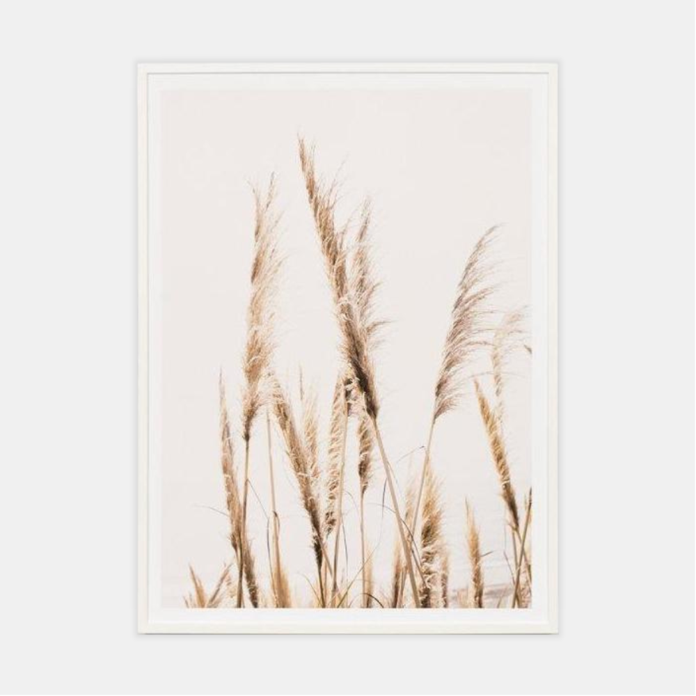 Middle of Nowhere | Framed Print - Toi Toi Sky | Shut the Front Door