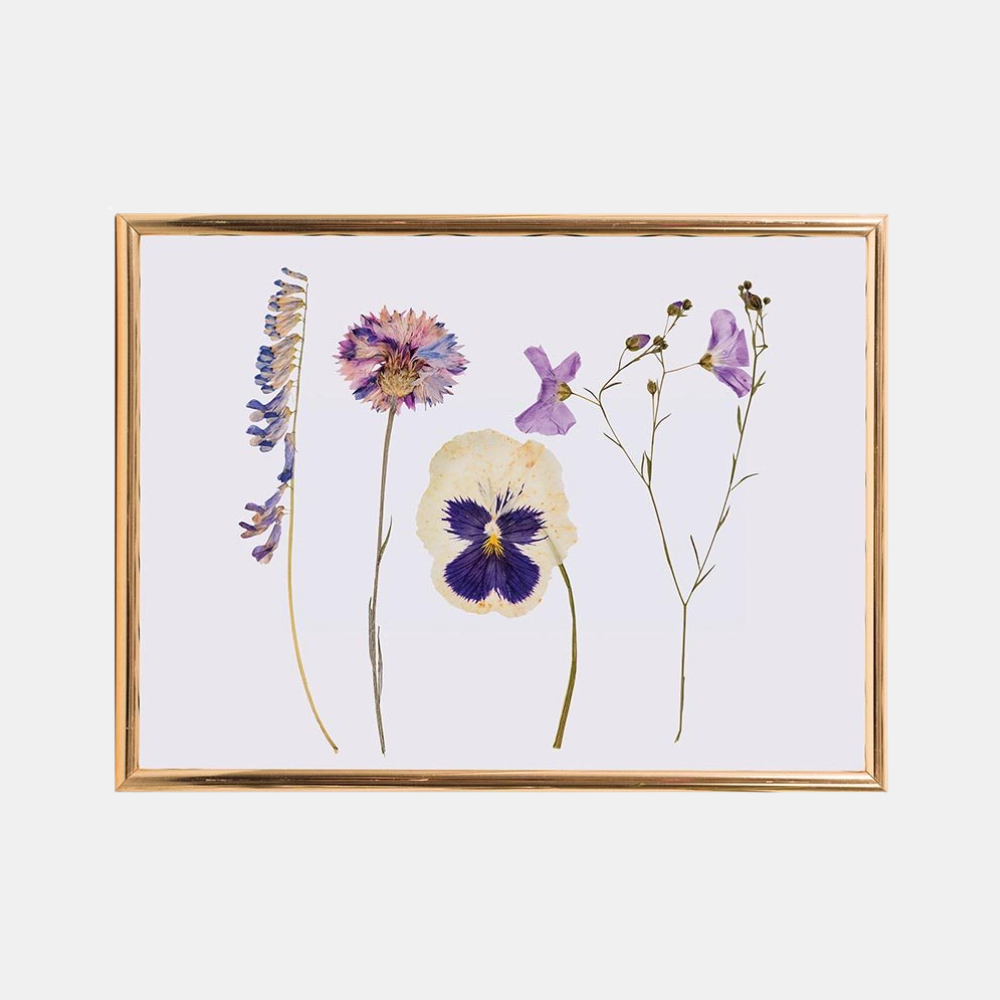 IS Gifts | Classic Flower Press | Shut the Front Door