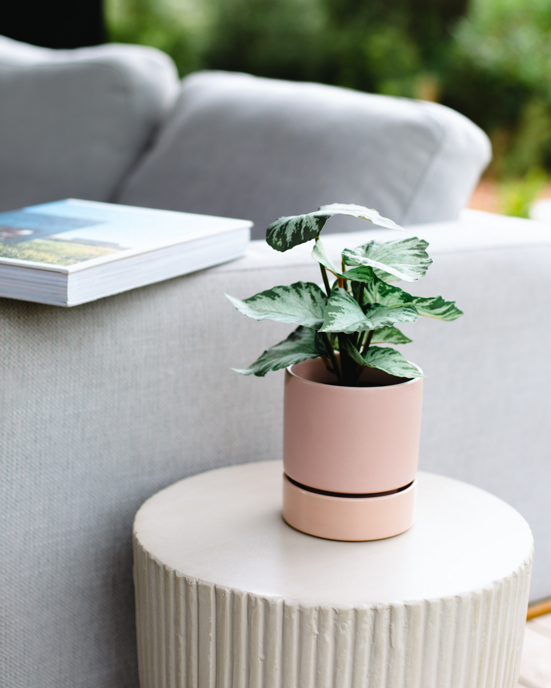 Garcia | Billie Planter Small - Dusty Rose | Shut the Front Door