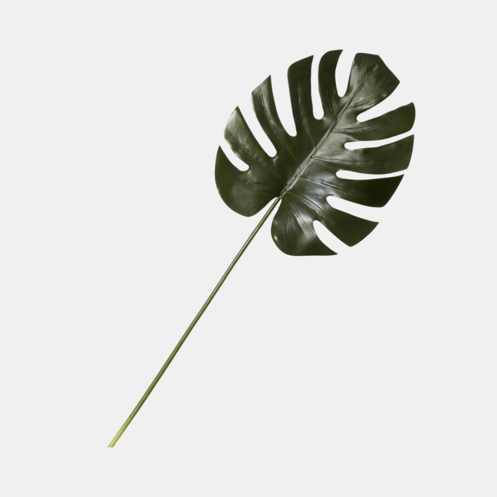 Rogue | Monstera Leaf Stem | Shut the Front Door