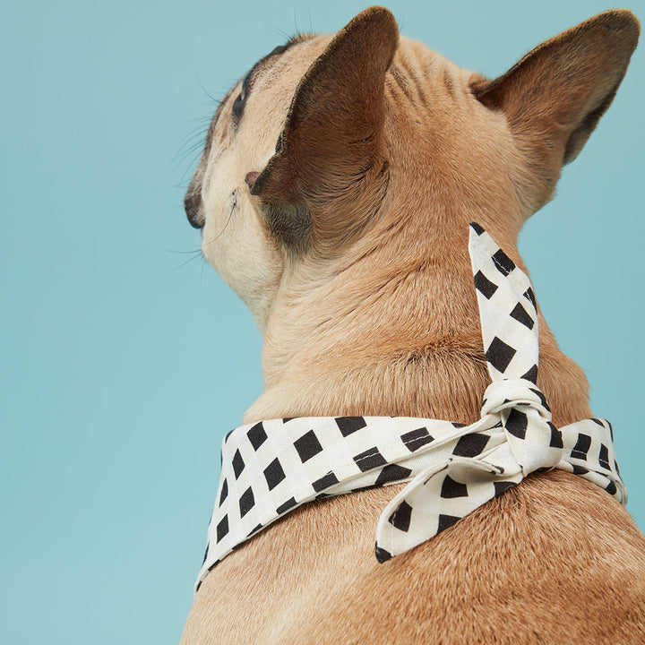 Pooch & Hound | Bandana Black & White Check | Shut the Front Door