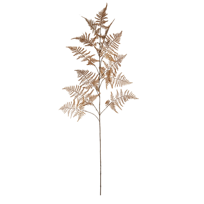 Albi | Fern Spray - Natural | Shut the Front Door