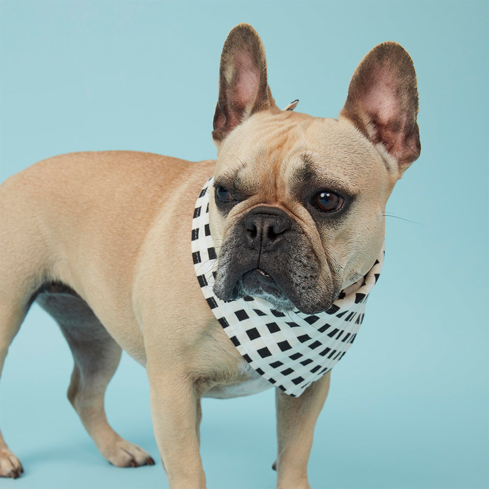 Pooch & Hound | Bandana Black & White Check | Shut the Front Door