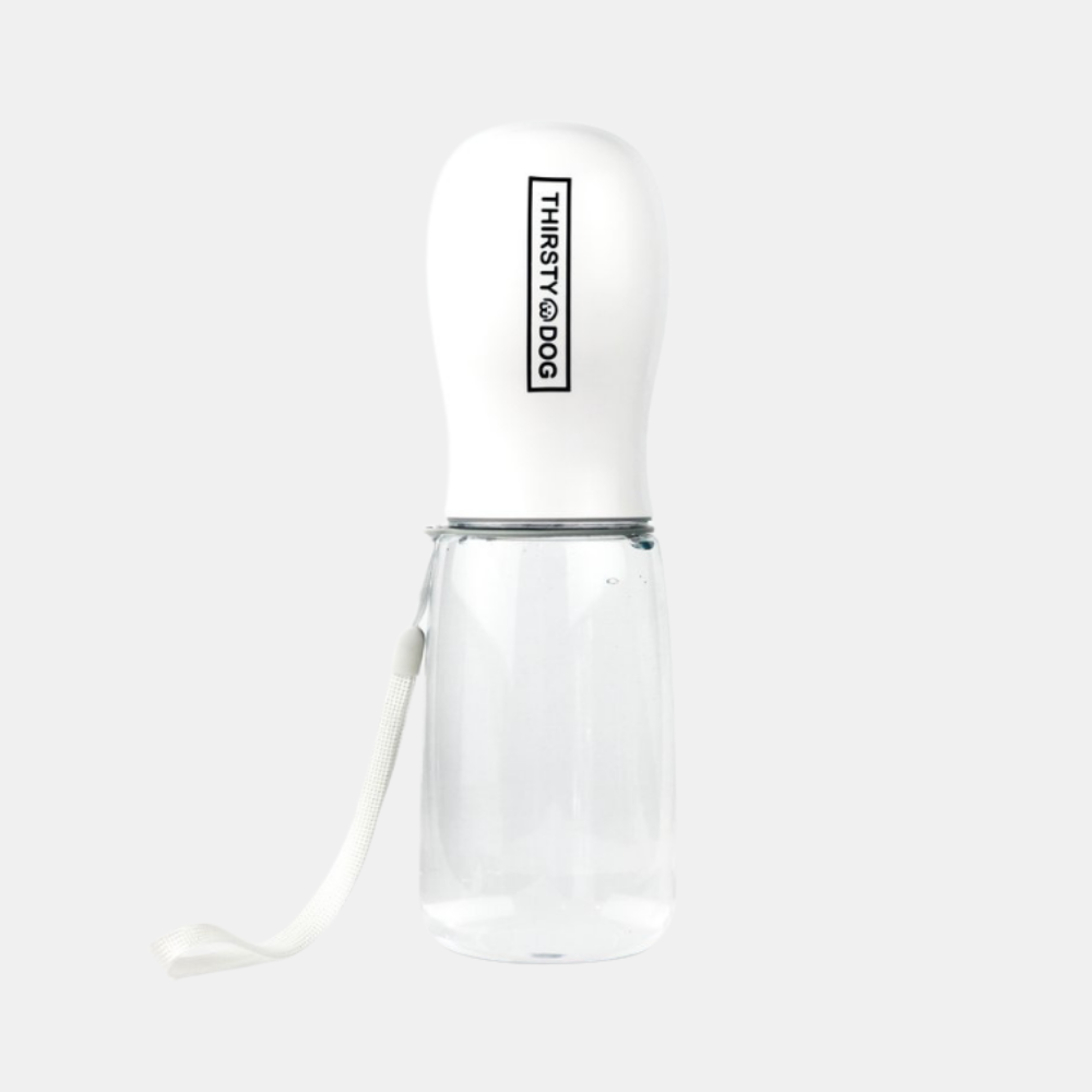 Thirsty Dog | Dog Water Bottle - White | Shut the Front Door