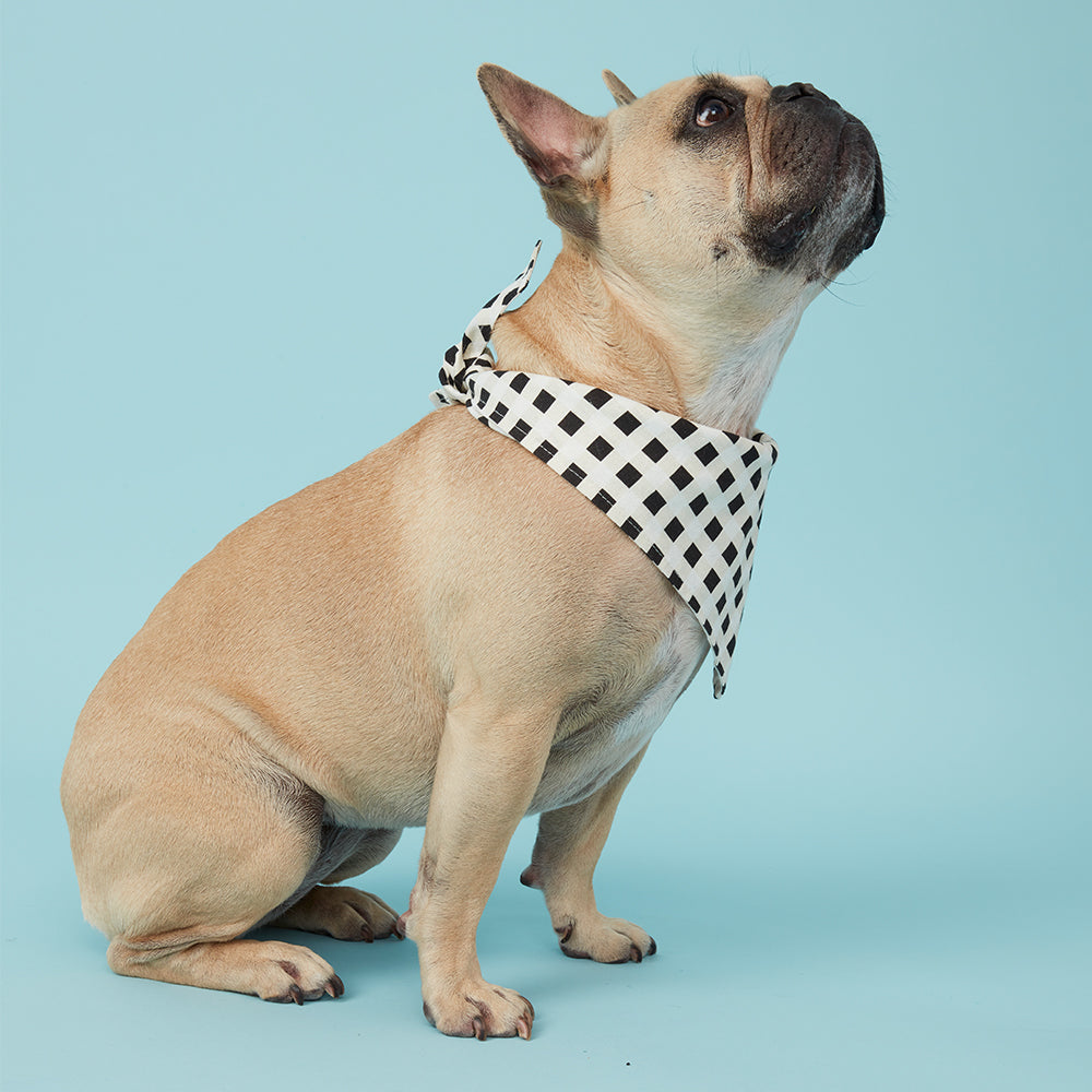 Pooch & Hound | Bandana Black & White Check | Shut the Front Door