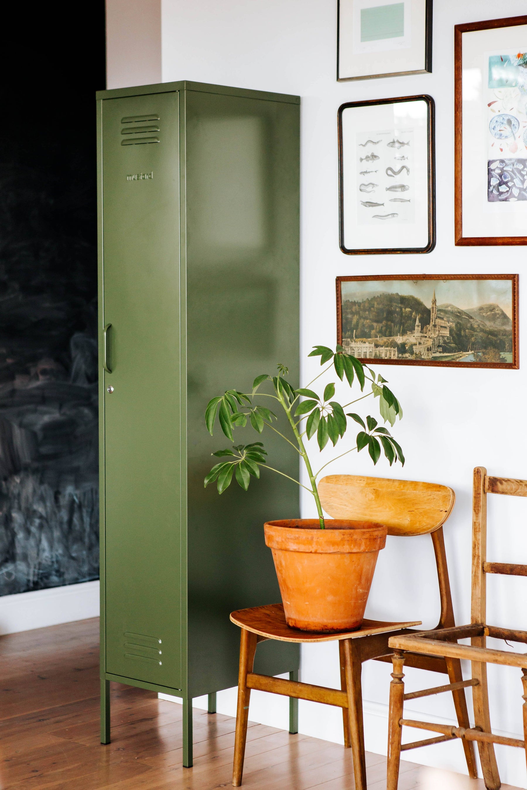 Mustard Skinny Locker Olive Shop Now Shut the Front Door NZ