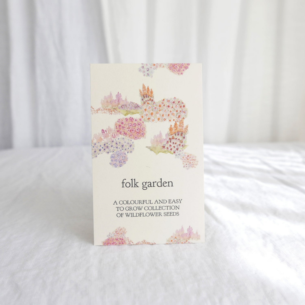 Hydrangea Ranger | Folk Garden Wildflower Seeds | Shut the Front Door