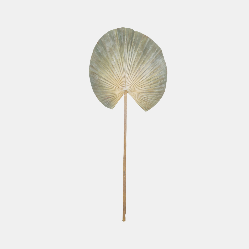 Rogue | RB Deco Fan Palm Sage | Shut the Front Door