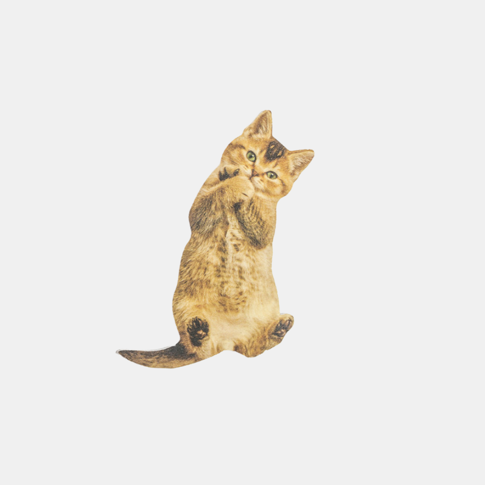 Suck Uk | Purrfect Nails - American Bobtail Nail File | Shut the Front Door