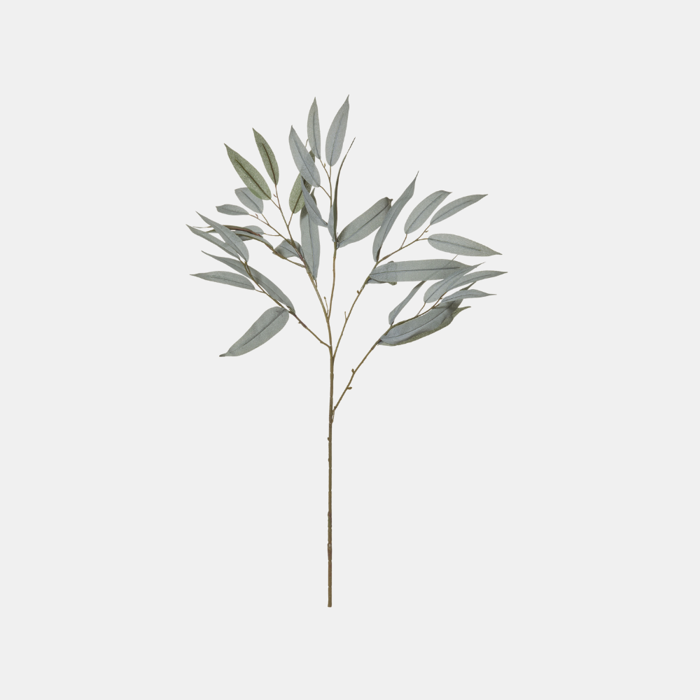 Rogue | Eucalyptus Spray - Grey/Green | Shut the Front Door