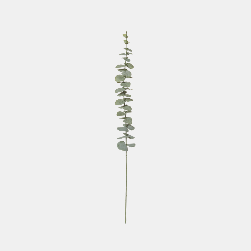 Rogue | Eucalyptus Stem - Green | Shut the Front Door