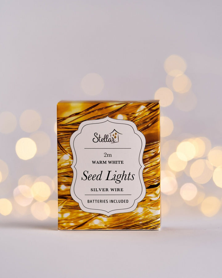 Stellar Haus | 20 LED Seed Light String Silver Warm White 2m | Shut the Front Door