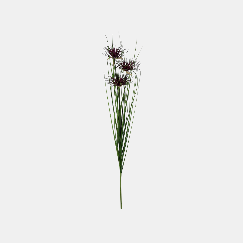 General Eclectic | Umbrella Onion Grass Stem | Shut the Front Door