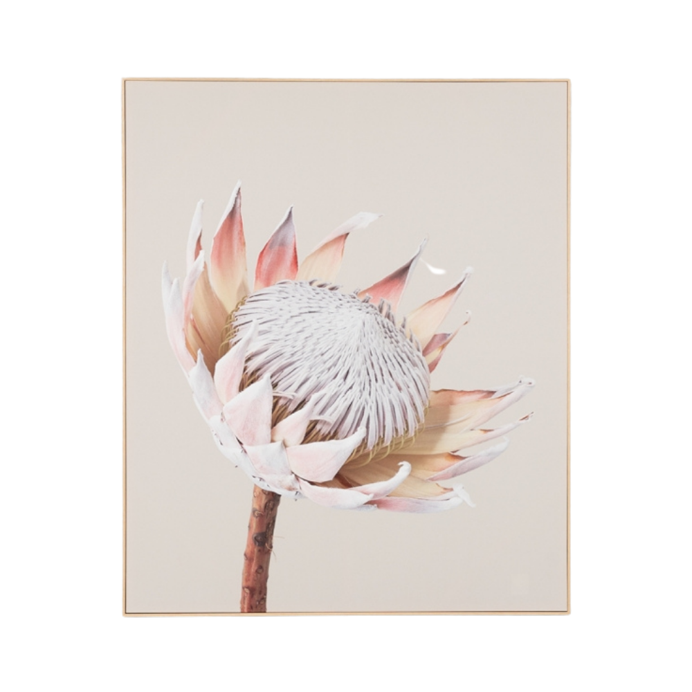 Middle of Nowhere | Framed Canvas - King Protea 2 | Shut the Front Door