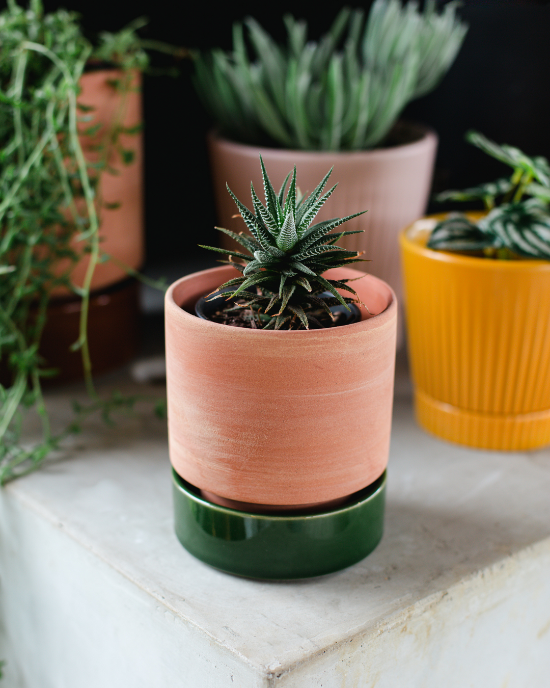 Garcia | Grace Planter Small - Rose Terracotta & Olive | Shut the Front Door