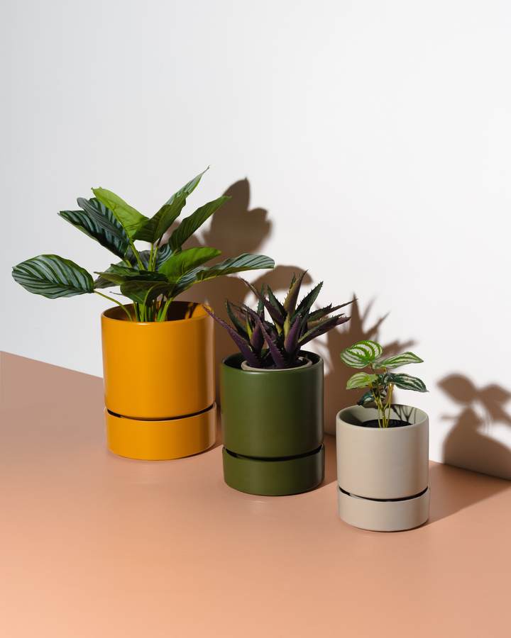 Garcia | Billie Planter Large - Mustard | Shut the Front Door