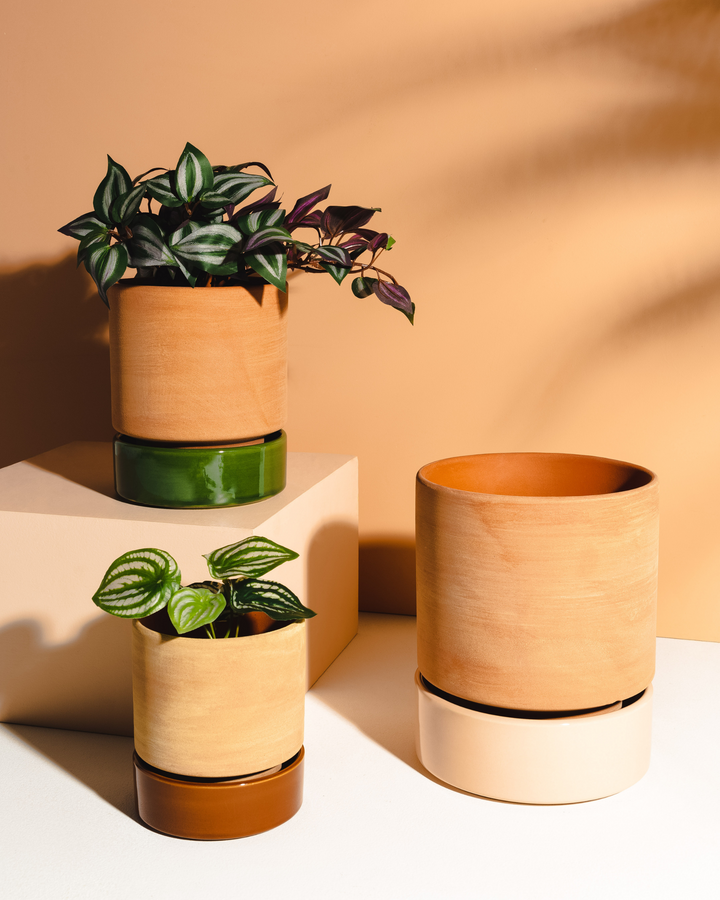 Garcia | Grace Planter Small - Rose Terracotta & Olive | Shut the Front Door