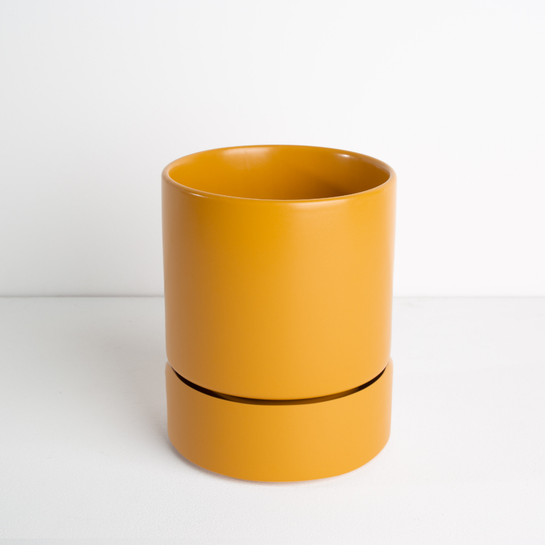 Garcia | Billie Planter Medium - Mustard | Shut the Front Door