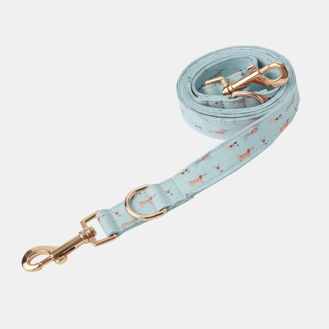 Pooch & Hound | Lead Print Blue Dog - Small | Shut the Front Door