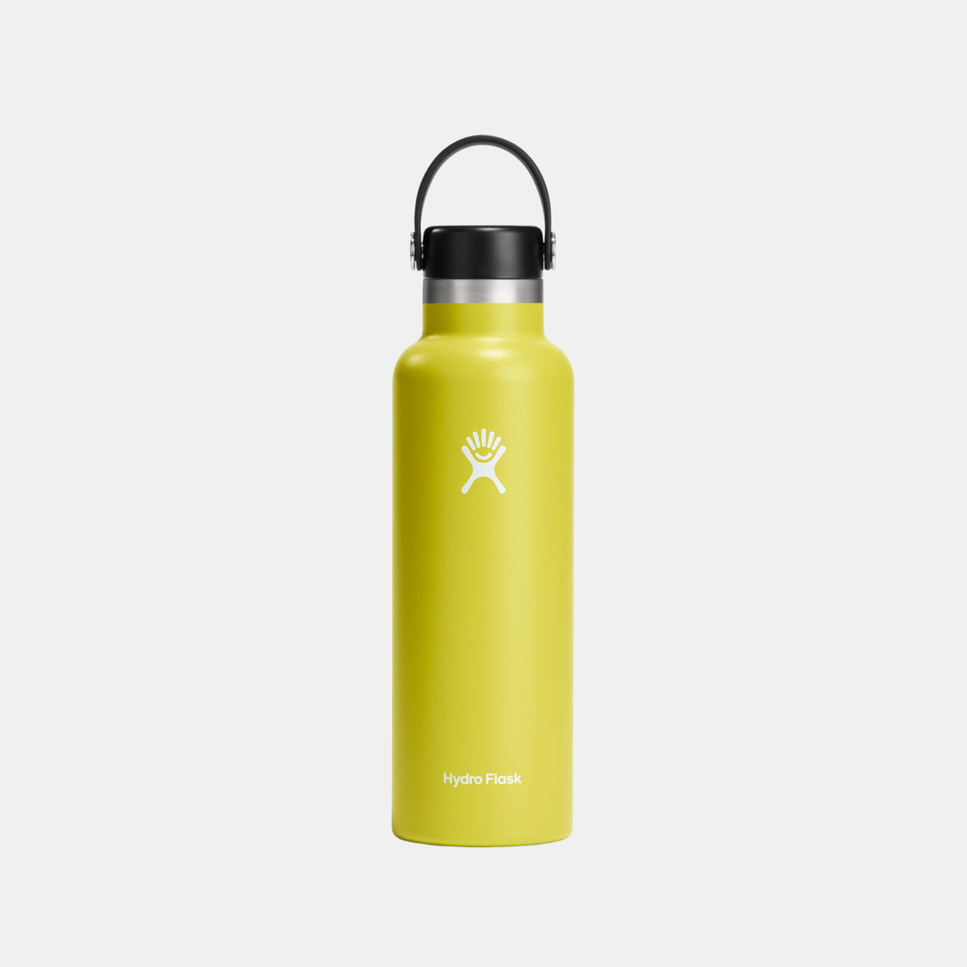 Hydro Flask | Hydro Flask Standard 621ml - Cactus | Shut the Front Door