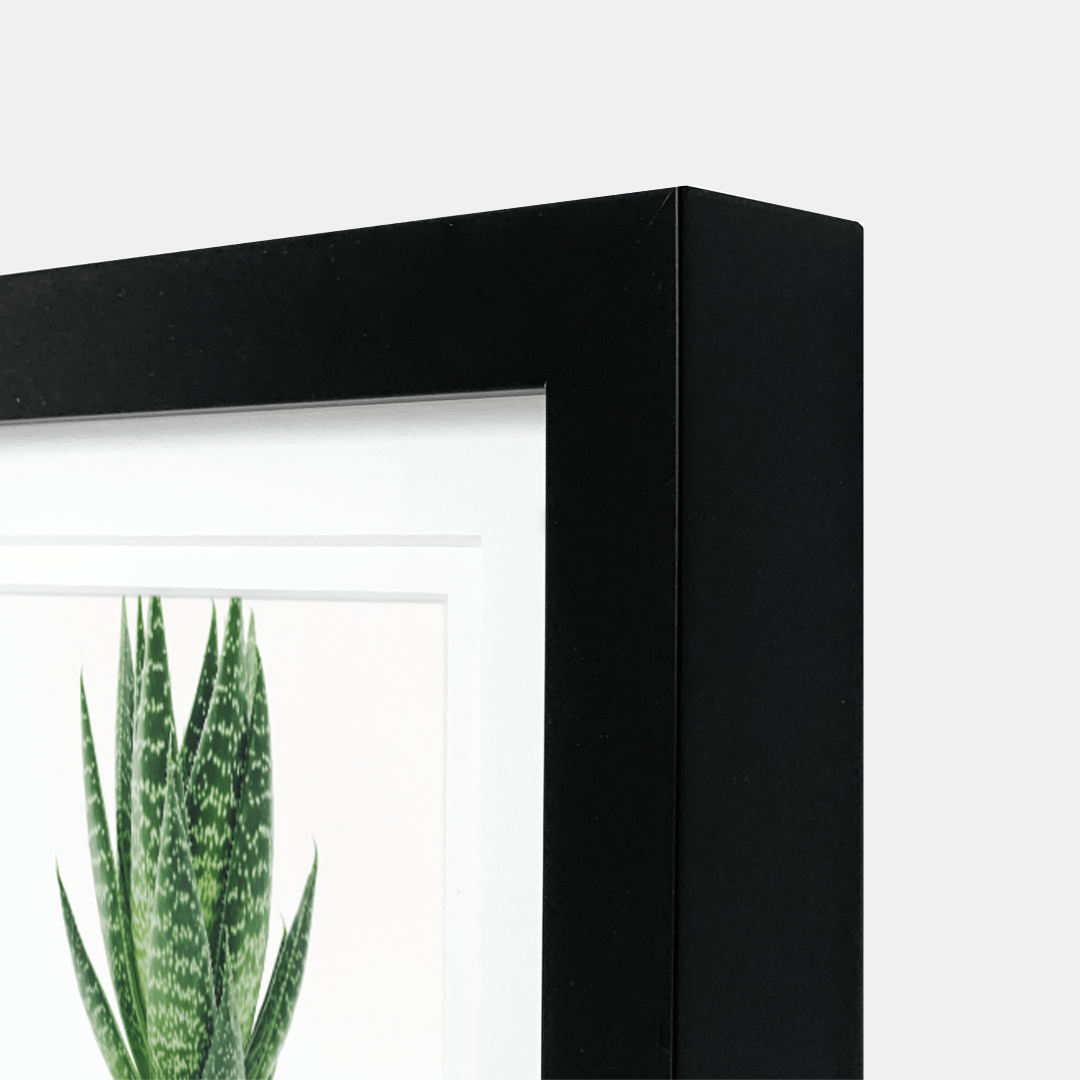 Profile Products | Deluxe Decorator Photo Frame- 4x6" /6x8" - Black | Shut the Front Door
