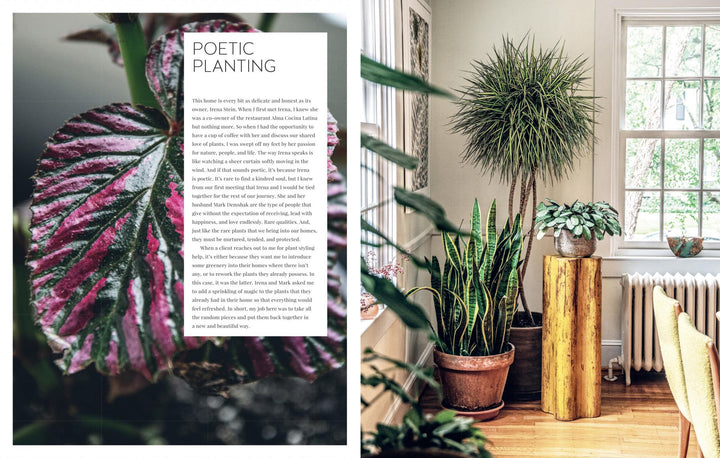 CICO | Living Wild | Shut the Front Door