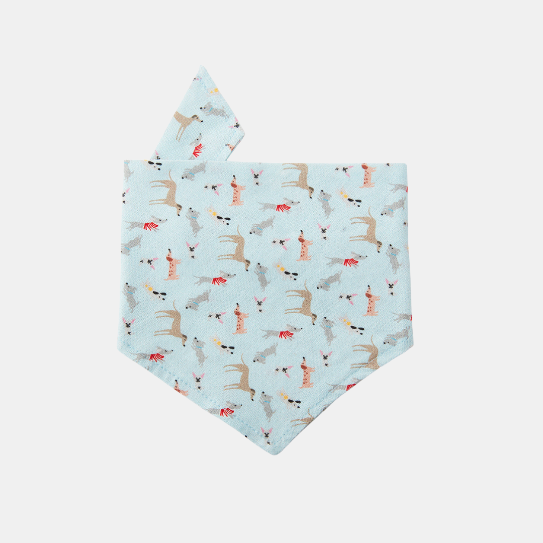 Pooch & Hound | Bandana Blue Dog | Shut the Front Door