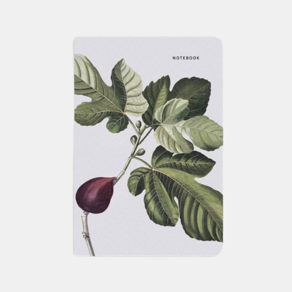 Father Rabbit | Fig Notebook | Shut the Front Door